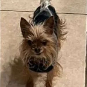 Meet your Posher, Julia